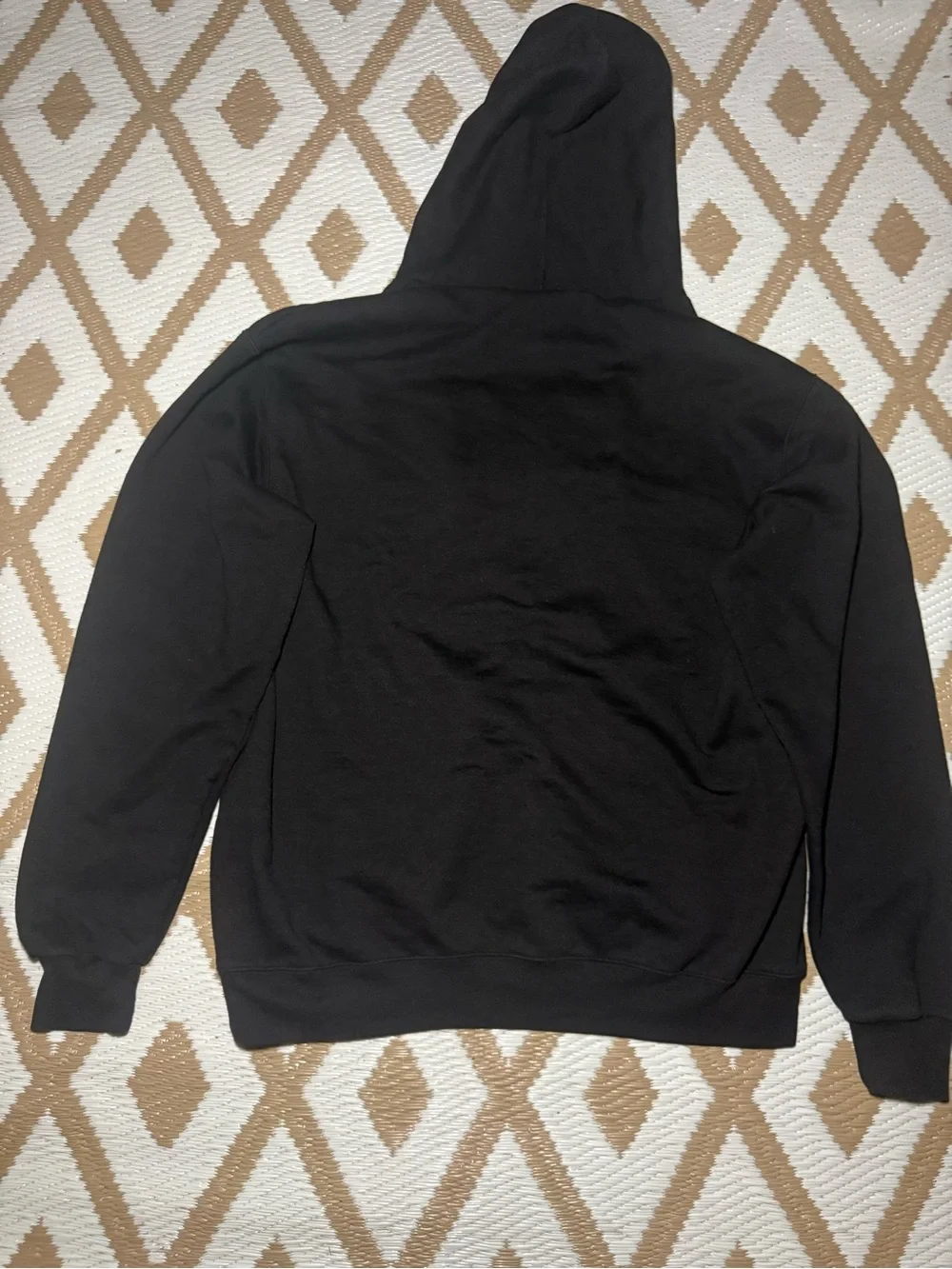 Champion Authentic Athleticwear Men's Black CSUN Logo Pullover Hoodie Fleece L